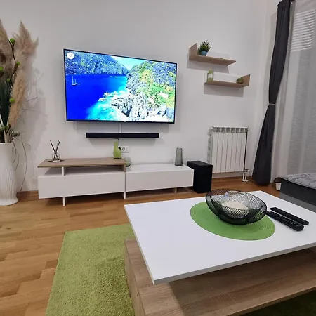 Modern & Trendy Apartment