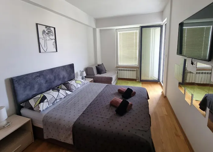 Modern & Trendy Apartment