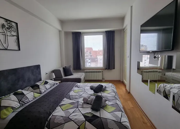 Modern & Trendy Apartment